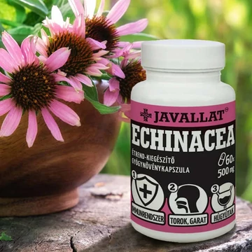 Echinacea